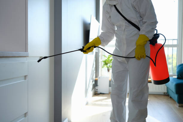 Best Attic Mold Removal  in Mcchord Af, WA