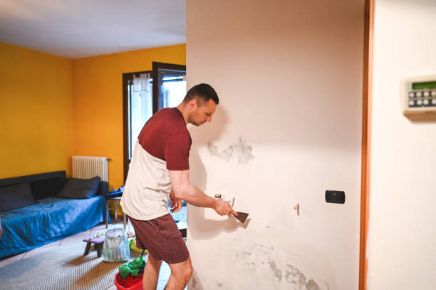 Best Affordable Mold Removal  in Mcchord Af, WA